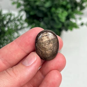 May include: A polished oval-shaped black star diopside gemstone featuring a distinct chatoyant light reflection that forms a centered star pattern across the dark, smooth surface of the stone, showcasing deep brown and black color tones.