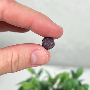 May include: A small, raw, deep magenta-colored gemstone with a rough, textured surface. The stone has an irregular, rounded shape and displays natural variations in its dark pinkish-red hue, appearing as a solid, opaque mineral specimen.