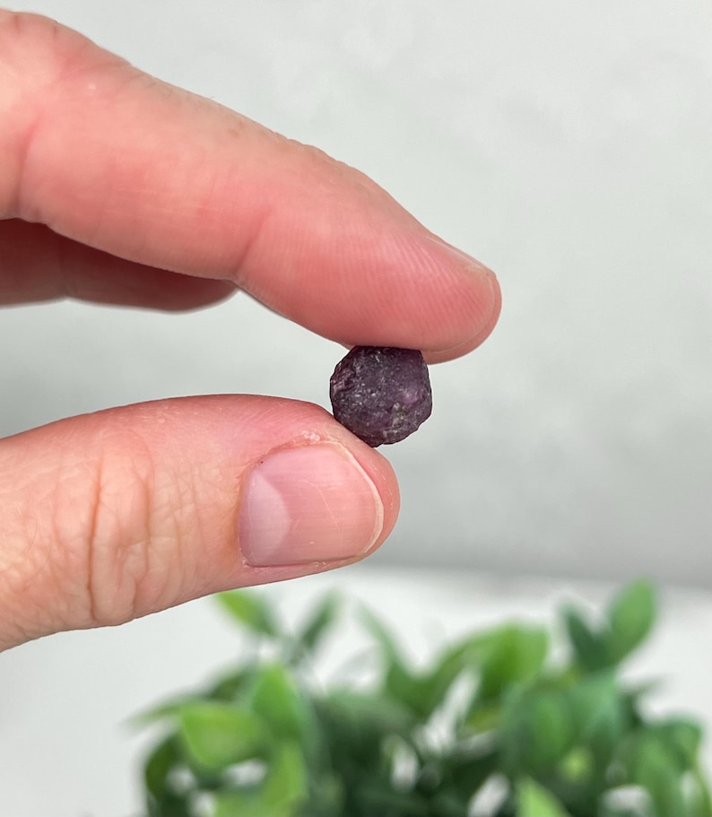May include: A small, raw, deep magenta-colored gemstone with a rough, textured surface. The stone has an irregular, rounded shape and displays natural variations in its dark pinkish-red hue, appearing as a solid, opaque mineral specimen.
