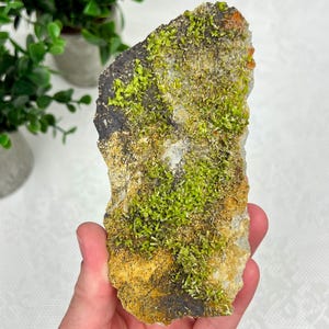 May include: A mineral specimen featuring a flat, irregular rock base with a textured surface. The stone displays patches of vibrant, lime-green crystalline formations scattered across a dark gray, brown, and off-white mineral matrix.
