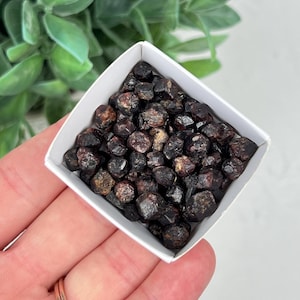 30 Gram Raw Garnet Lot