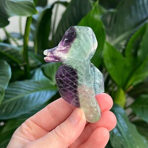 Sea Jasper Dragonfly Carving