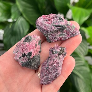 One Raw Eudialyte - you choose