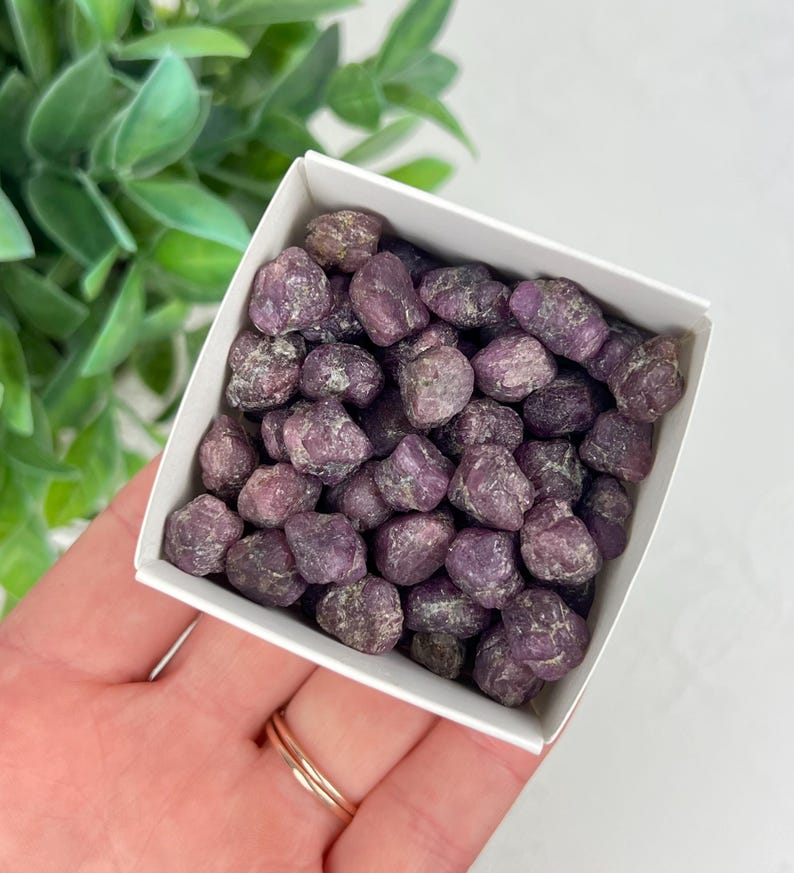 May include: A square white box filled with numerous small, raw, deep purple-toned ruby gemstones. The stones have an irregular, textured surface and are packed closely together within the container, displaying a consistent dark magenta color palette.