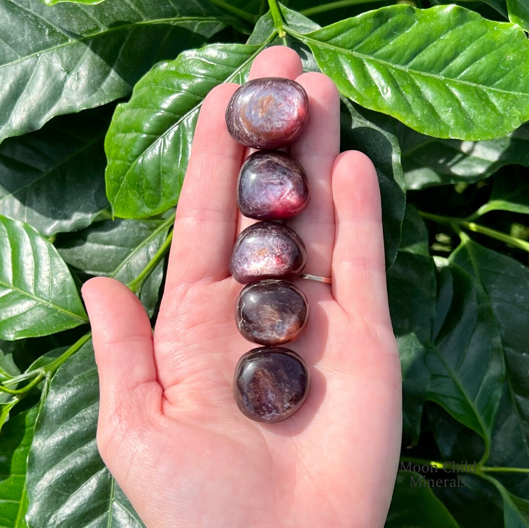 One Gem Lepidolite Tumbled Stone Etsy