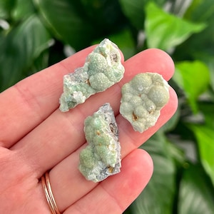 May include: Three pieces of light green mineral specimens with a bubbly texture are displayed. The minerals are held in a hand, with a blurred green background. The minerals have a light green color with some areas of white and gray.