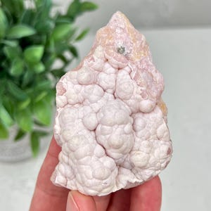 May include: A pale pink botryoidal mineral specimen with a rounded, bubbly surface texture. The crystal formation features soft, light pink hues with subtle variations in tone and a small, darker inclusion near the pointed top section.