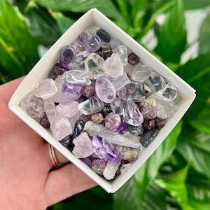 May include: A white square container filled with an assortment of polished gemstones. The stones are various shades of purple, clear, and reddish-brown. The container is held in a hand, with green foliage in the background.