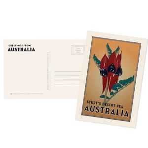Australian Postcard - Sturt's Desert Pea | Vintage Australia | Australian Sellers | Post Crossing | Recycled Postcard | Sustainable