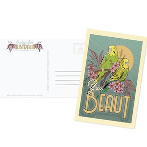 Australian Postcard - Budgies | Budgerigars | Vintage Australia | Australian Sellers | Post Crossing | Recycled Postcard | Sustainable