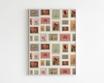 Vintage Australian Wildflower Stamps Art Print - Australiana Decor