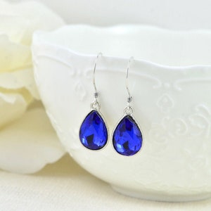 Fake sapphire earrings top