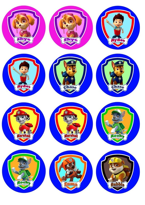 Paw Patrol Icing Sheet Edible Image | Etsy