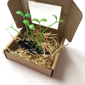 Bean Sprout Hair Pins: Funny Hair Clips Set - Gift for Girl