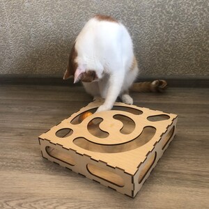 Personalized Cat Toy Box: Eco Kitten Puzzle, Custom Cat Lover Gift