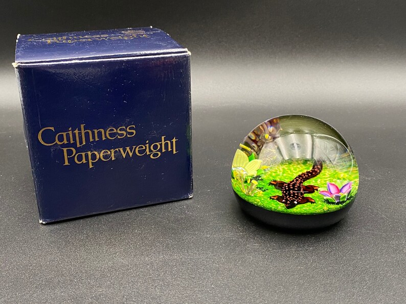 Caithness William Manson Art Glass crocodile Paperweight 3W Etsy