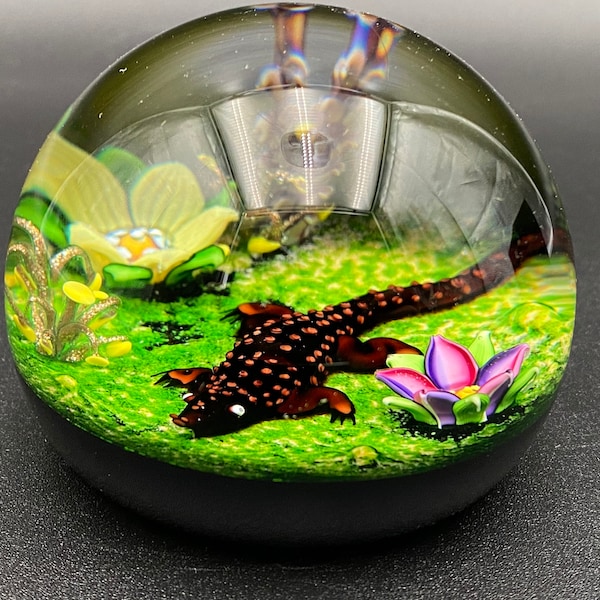 Caithness William Manson Art Glass "Cocodrilo" Pisapapeles 3"W Artist Proof Firmado MIB