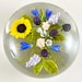Propietario de <a href='https://www.etsy.com/mx/shop/Uniquebuy24?ref=l2-about-shopname&from_page=listing' class='wt-text-link'>Uniquebuy24</a>