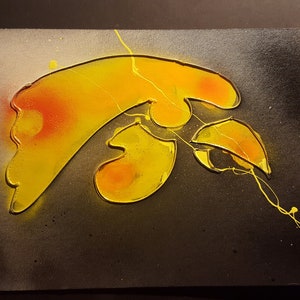 Hawk eye abstract
