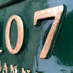 May include: Close-up of a green house number plaque with gold-colored raised numbers. The numbers read "107" and are set against a glossy green background. The word "CHAN" is partially visible.