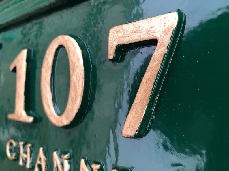 May include: Close-up of a green house number plaque with gold-colored raised numbers. The numbers read "107" and are set against a glossy green background. The word "CHAN" is partially visible.