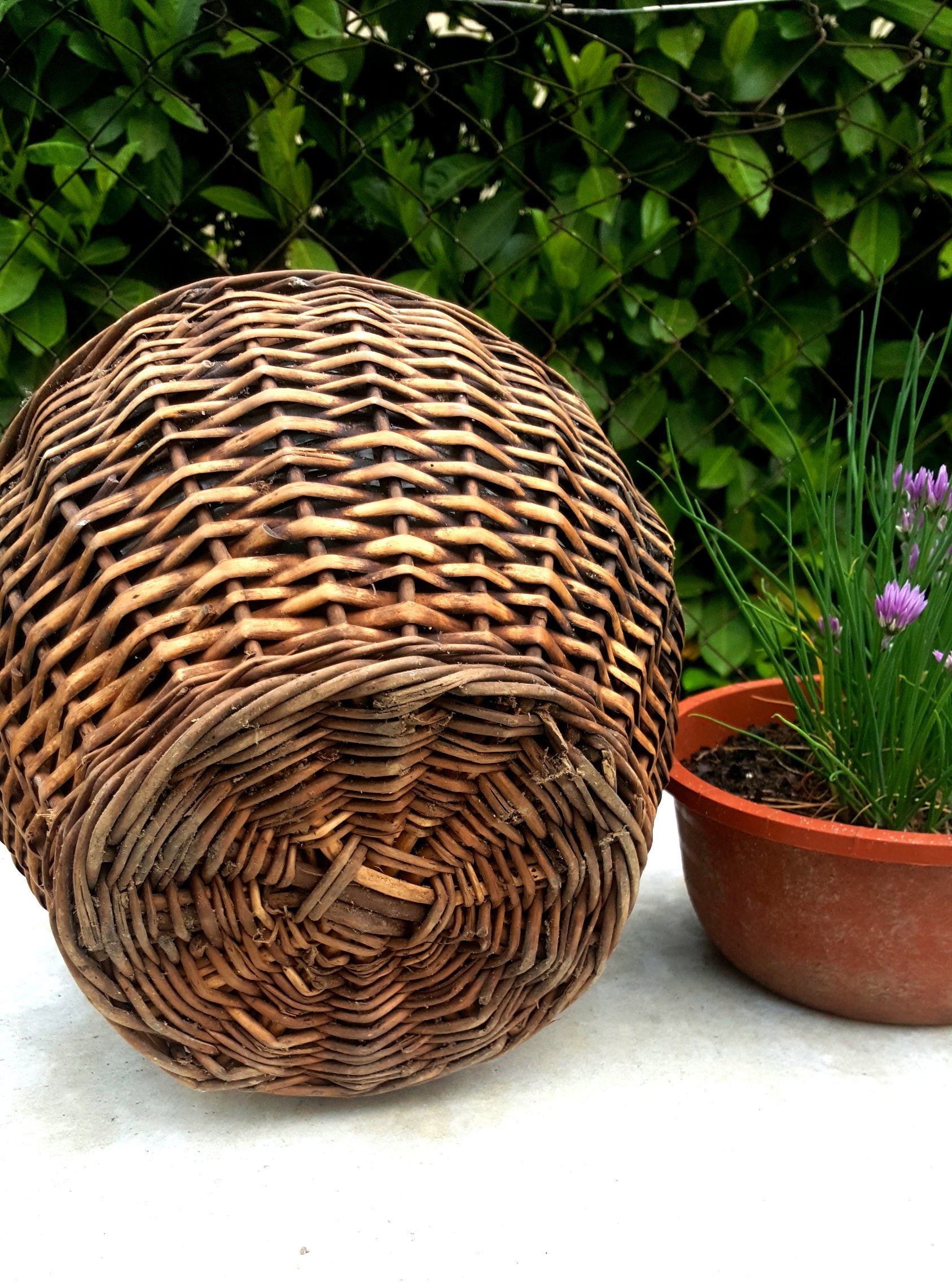 Ancient Rattan Cowered Glass Jar With A Handle and Etsy