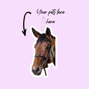 Your Horse Car Freshener || Equestrian Car Freshie || Personalised Horse Car Freshener || Horsey People Truck Freshie