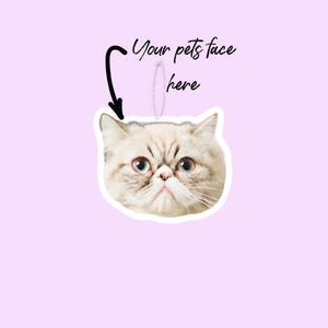 May include: A white and grey cat with large eyes and a serious expression. The cat's face is isolated on a white background with the text "Your pet's face here" above it.
