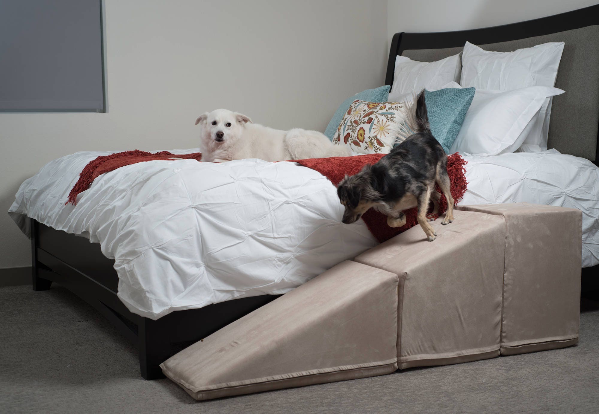 Royal ramps pet clearance ramp with landing