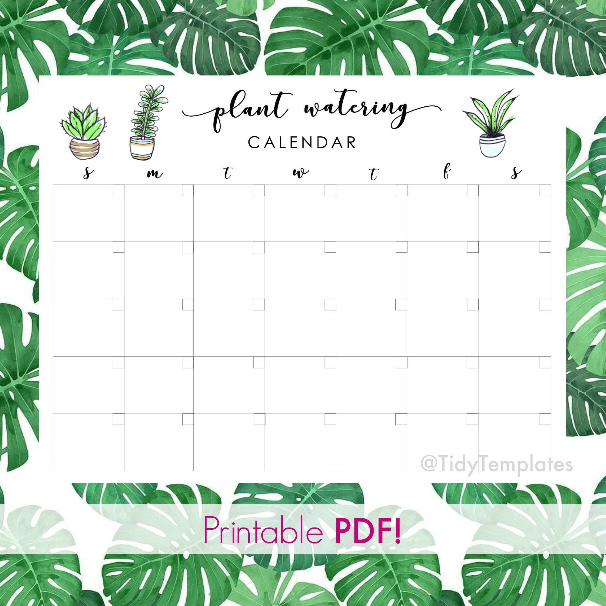 Plant Care Tracker DIGITAL DOWNLOAD Plant Watering Calendar Etsy