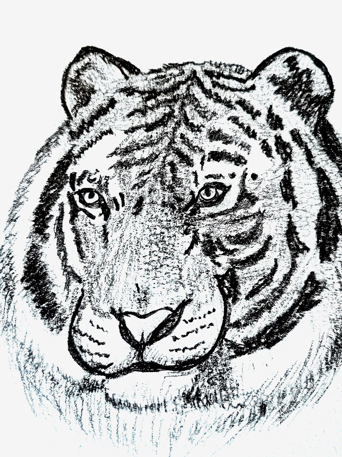 Tiger A4 Original Drawing. Original Art. Art Print. - Etsy