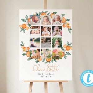 18x24 Little Cutie First Birthday Photo Sign Template, Orange Theme, Citrus Birthday, First Birthday | DC216