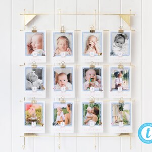 Classic Animals First Birthday, Photo Banner, Baby&#39;s First Year Photos, Party Animals, Wild One Animals, Zoo Safari | DC259