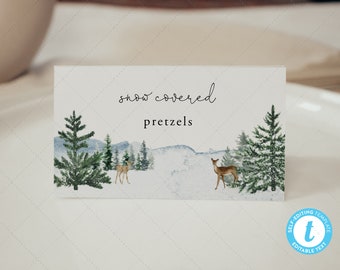 Winter Onederland Place Card, Food Tent, Buffet Cards, Winter Onederland Birthday Party Decorations | DC228
