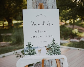 18x24 Winter Onederland Editable Sign, Winter Onederland Birthday, Welcome Sign, Editable Sign | DC228