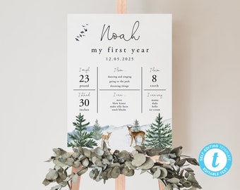 18x24 Winter Onederland Birthday One Year Sign Template, Winter Onederland Birthday Invitation, Milestone | DC228