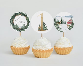 Winter Onderland First Birthday Cupcake Topper "1" | Printable Digital File | Woodland Winter 1st Birthday Party Circle | DC228