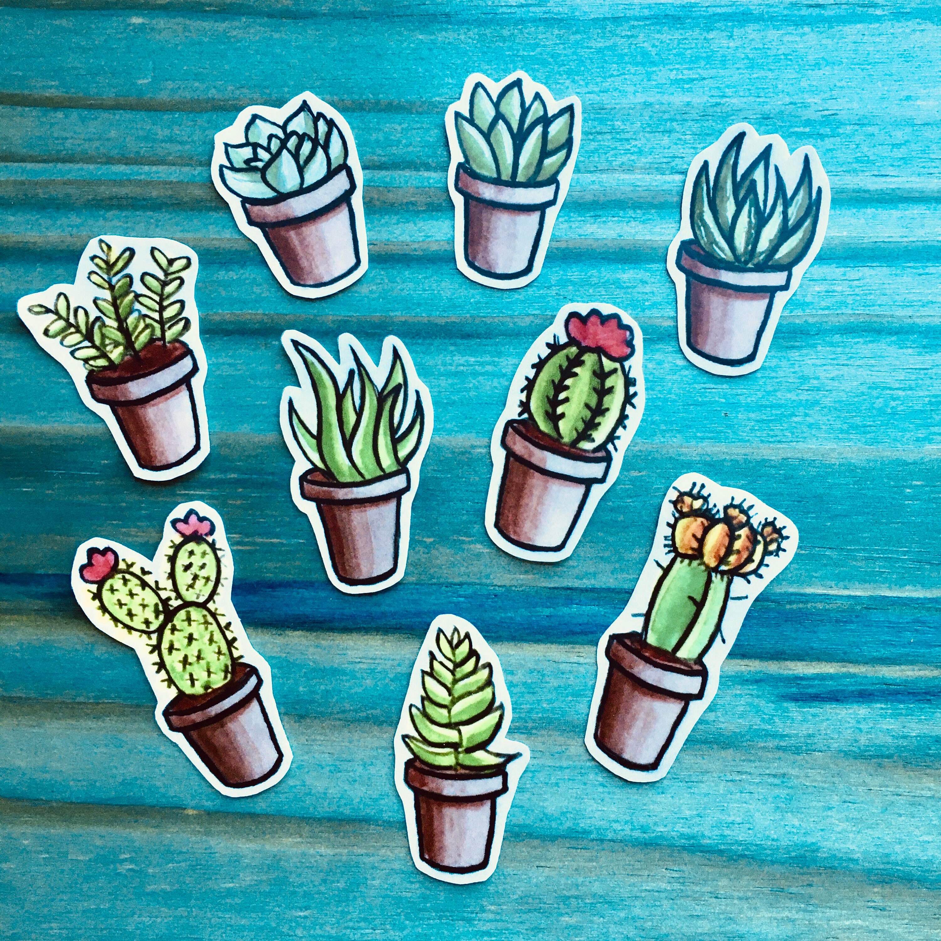Mini Cacti and Succulent Vinyl Sticker Set, Cacti and Succulent Lapto…