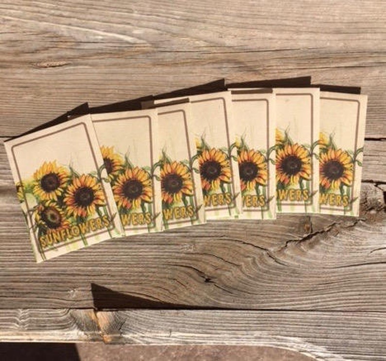 Sunflower Seed Kraft Packets in Bulk Wedding Favor Etsy