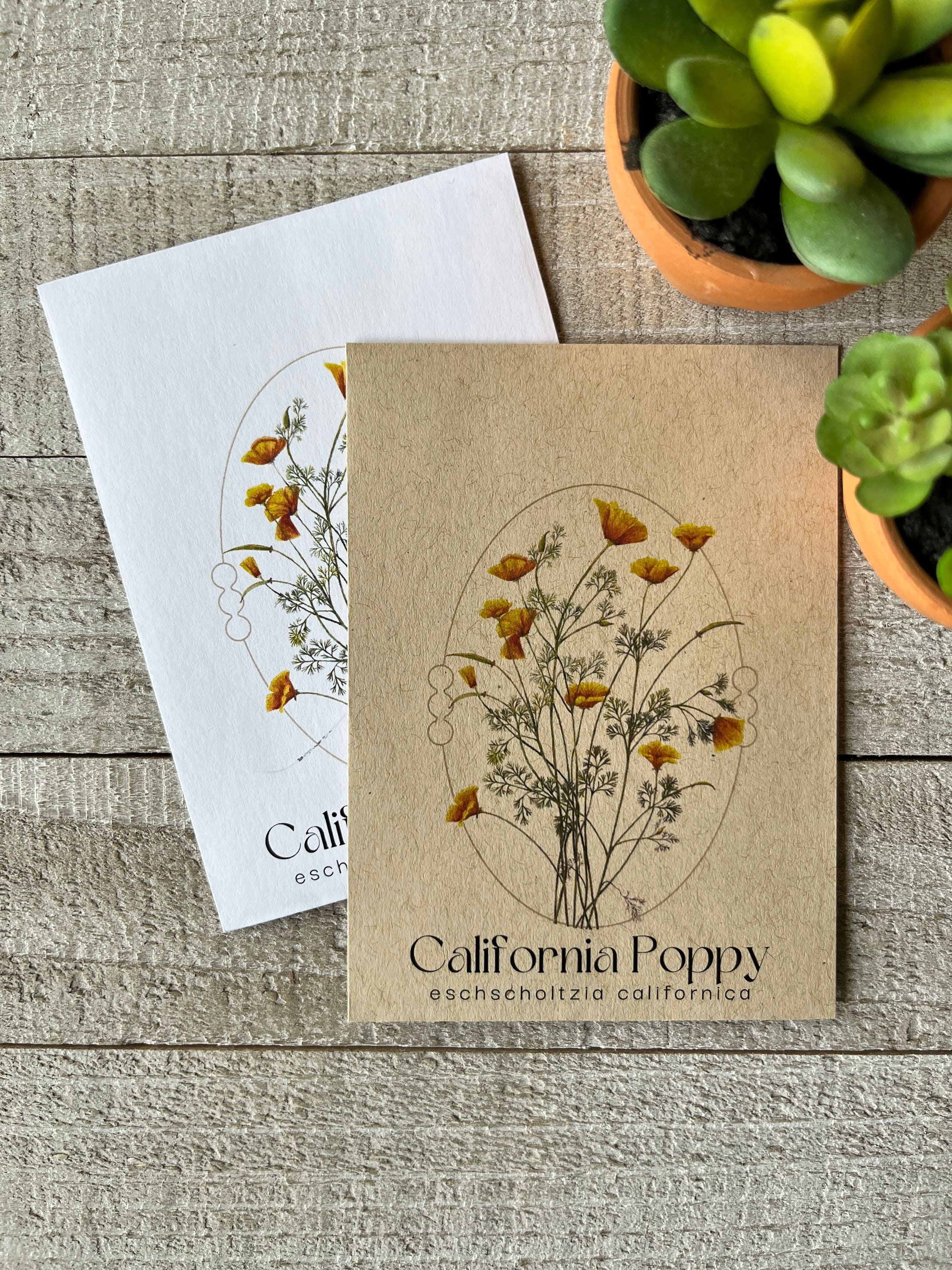 California Poppy Seed Packet Favor for Wedding Bridal Baby Etsy