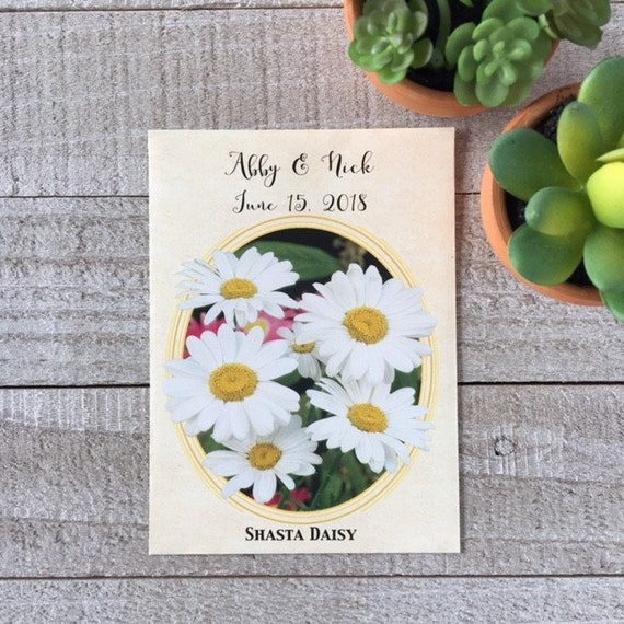 Daisy Seed Packet Coin Purse Upcycled Shasta Daisy Flower Seed Packet Zippered Pouch Best Friend Groovy Gift Idea