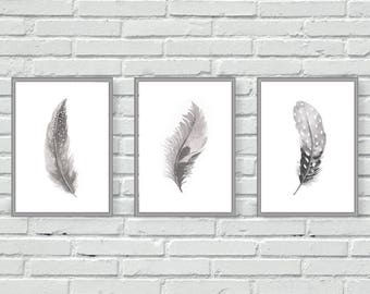 Grey Feathers wall art, watercolour prints, living room decor, above sofa, painted, set of 3, greyscale, mono, wall prints, home, house
