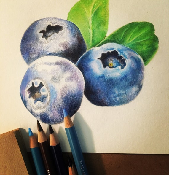 Colored Pencil Drawing Classes Online | Skillshare-anthinhphatland.vn