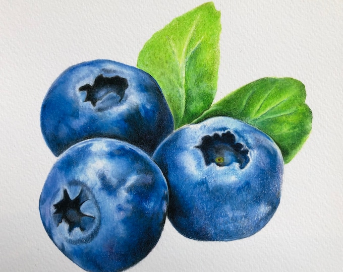 Blueberries Giclee Print: Original Colored Pencil Drawing, Kitchen Art