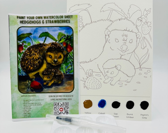 Hedgehogs & Strawberries Watercolor Painting Kit: DIY Art