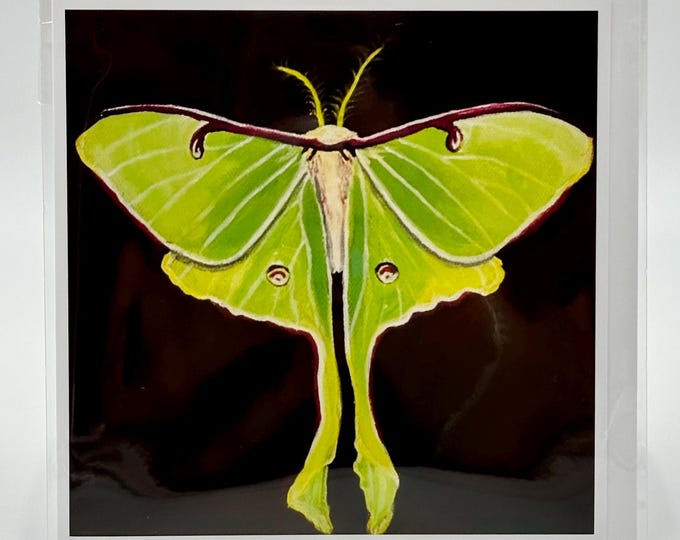 Luna Moth Blank Card