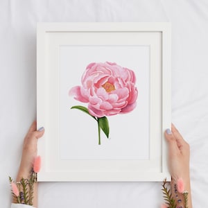 Watercolor Peony Art Print | Botanical illustration print | Peony Art Print | Watercolor Floral Painting | Wall Art | Home Decor
