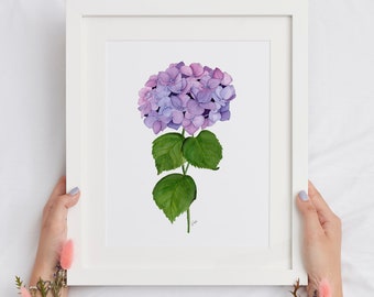 Watercolor Hydrangea Art Print: Elegant Floral Painting