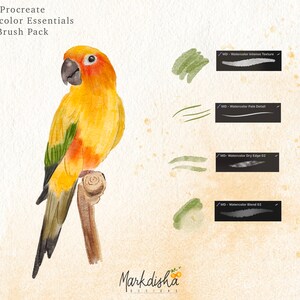Procreate Watercolor Essentials Brush Pack Realistic Watercolor Brushes ...