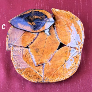 Real Natural leaf imprinted, and assembled Bowl with Ladybug or Snail Peekaboo image 8
